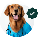 Veterinarian Approved