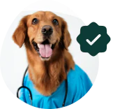 Veterinarian Approved