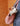 Rio Dog Carrier - EachPaw