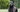 10 Essential Training Tips for Your Cane Corso Puppy - EachPaw