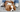 Are Brittany Spaniel Good with Kids? A Family-Friendly Breed Analysis