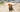 Are Dachshunds Good with Kids? A Family-Friendly Breed Analysis