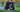Are English Cocker Spaniel Good with Kids? A Family-Friendly Breed Analysis