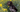 Are German Shorthaired Pointers Good with Kids? A Family-Friendly Breed Analysis