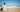 Are Portuguese Water Dog Good with Kids? A Family-Friendly Breed Analysis