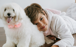 Are the Maltese Good with Kids? A Family-Friendly Breed Analysis