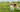 Basset Hound Exercise Needs: Keeping Your Basset Hound Fit and Happy