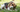 Basset Hound Temperament: What to Expect from Your Dog