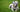 Best Diet for American Bulldog: Nutrition Tips and Food Recommendations
