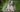 Best Diet for Australian Shepherd: Nutrition Tips and Food Recommendations