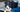 Best Diet for Border Collie: Nutrition Tips and Food Recommendations