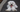 Best Diet for Maltese: Nutrition Tips and Food Recommendations