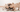 Best Diet for Pug: Nutrition Tips and Food Recommendations