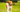 Brittany Spaniel Exercise Needs: Keeping Your Brittany Spaniel Fit and Happy