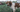 Brittany Spaniel Top 10 Health Concerns: Prevention and Care