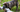 Chihuahua Temperament: What to Expect from Your Dog