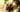Mastiff Exercise Needs: Keeping Your Mastiff Fit and Happy