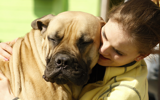 Mastiff Exercise Needs: Keeping Your Mastiff Fit and Happy