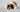 Top 10 Health Concerns for Saint Bernard: Prevention and Care