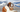 Saint Bernard Training Tips: Raising a Well-Behaved Companion