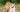 Best Diet for Akitas: Nutrition Tips and Food Recommendations