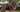 Top 10 Health Concerns for Newfoundlands: Prevention and Care