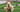French Bulldog Temperament: What to Expect from Your Frenchie