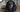 Dachshund Temperament: What to Expect from Your Dog
