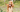 English Cocker Spaniel Exercise Needs: Keeping Your English Cocker Spaniel Fit and Happy