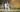 English Springer Spaniel Exercise Needs: Keeping Your English Springer Spaniel Fit and Happy