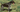German Shorthaired Pointer Exercise Needs: Keeping Your German Shorthaired Pointer Fit and Happy