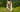 Miniature American Shepherd Exercise Needs: Keeping Your Miniature American Shepherd Fit and Happy