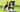 Miniature Schnauzer Exercise Needs: Keeping Your Miniature Schnauzer Fit and Happy