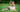 Shetland Sheepdog Exercise Needs: Keeping Your Shetland Sheepdog Fit and Happy