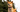 Shiba Inu Temperament: What to Expect from Your Dog