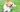 Socialization Tips for Your Pembroke Welsh Corgi: Building a Well-Rounded Dog