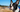 The Ultimate Guide to Boston Terrier