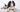 The Ultimate Guide to Cavalier King Charles Spaniel