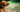 The Ultimate Guide to Vizsla