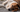 Top 10 Health Concerns for Basset Hound: Prevention and Care
