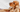 Top 10 Health Concerns for Cocker Spaniel: Prevention and Care