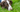 Top 10 Health Concerns for German Shorthaired Pointer: Prevention and Care