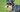 Top 10 Health Concerns for Miniature Schnauzer: Prevention and Care