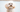 Top 10 Health Concerns for Poodle: Prevention and Care