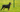 Common Doberman Pinscher Health Issues: Prevention and Treatment - EachPaw