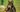 Doberman Pinscher Grooming 101: Coat Care and Hygiene Tips - EachPaw