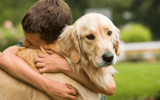 Golden Retrievers as Family Dogs: Are They Good with Children? - EachPaw