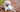 Labrador Retriever Training Tips: Raising a Well-Behaved Companion - EachPaw