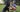 Rottweilers and Family Life: Are They Good with Kids and Other Pets? - EachPaw