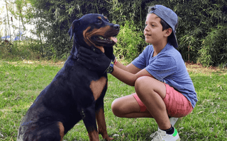 Rottweilers and Family Life: Are They Good with Kids and Other Pets? - EachPaw